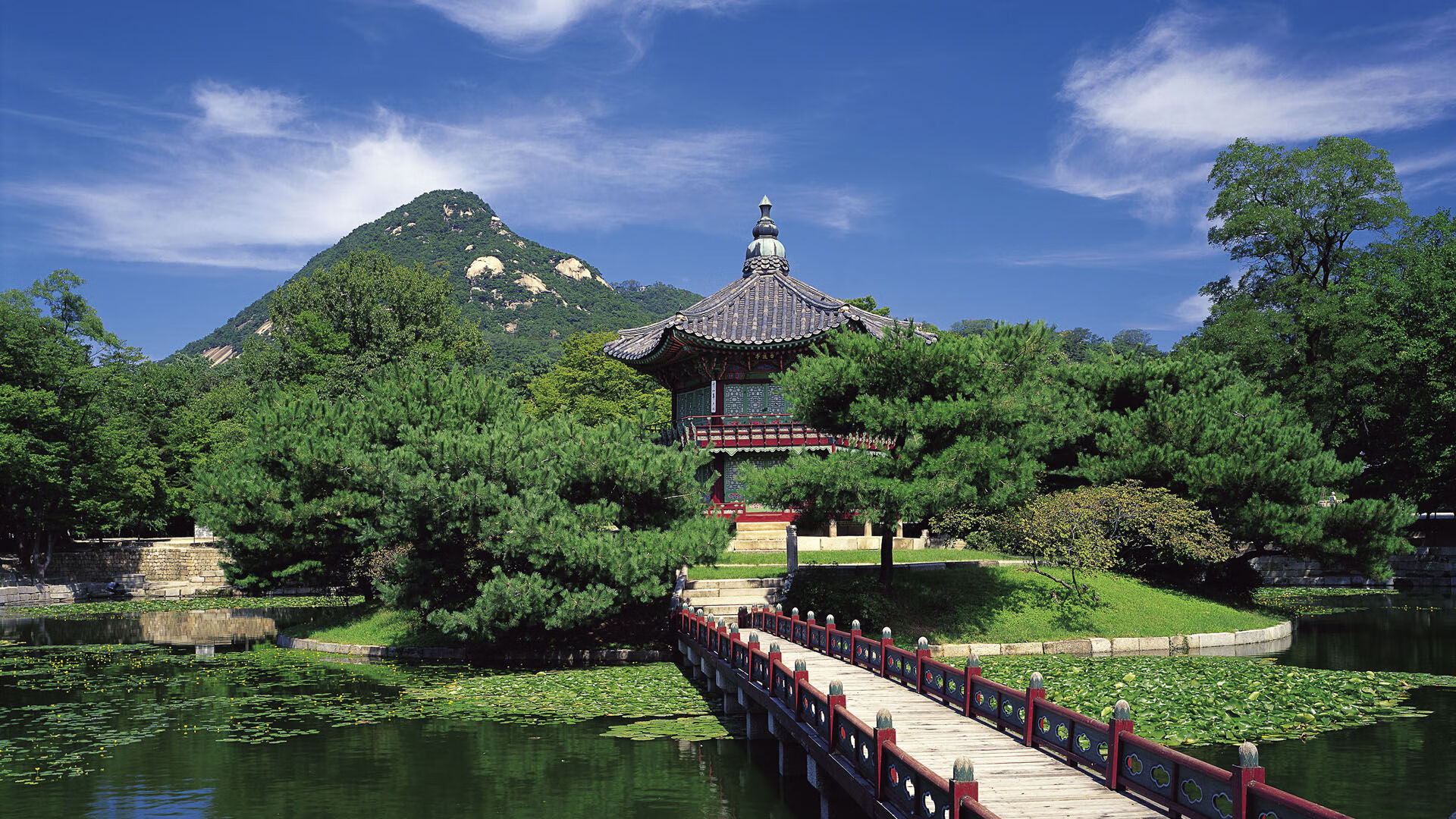 AC米兰主场大胜,赢得信心迎接下一场对决,ac米兰比赛视频