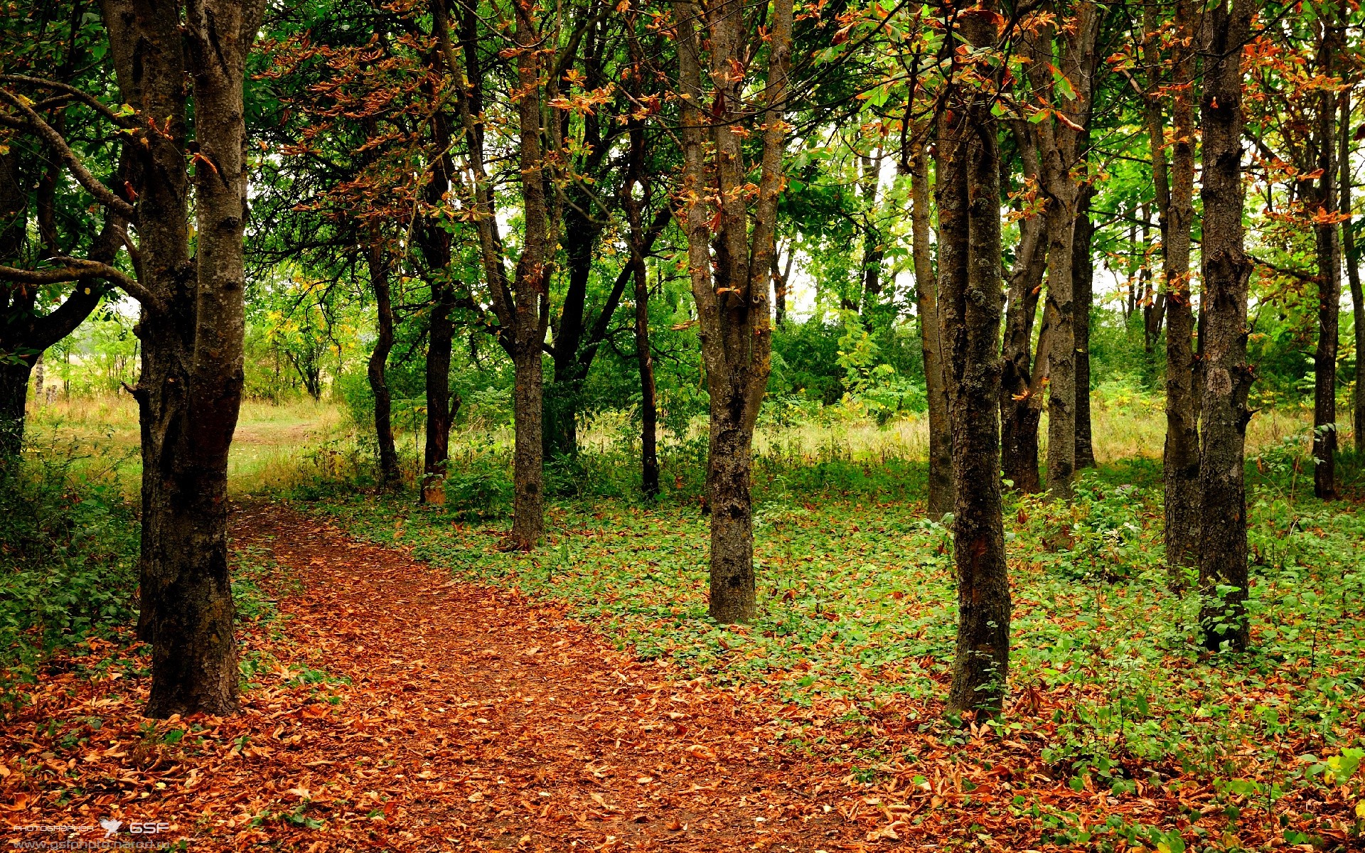 开云娱乐-新秀表现是否能维持整个赛季，新秀赛季是几个赛季