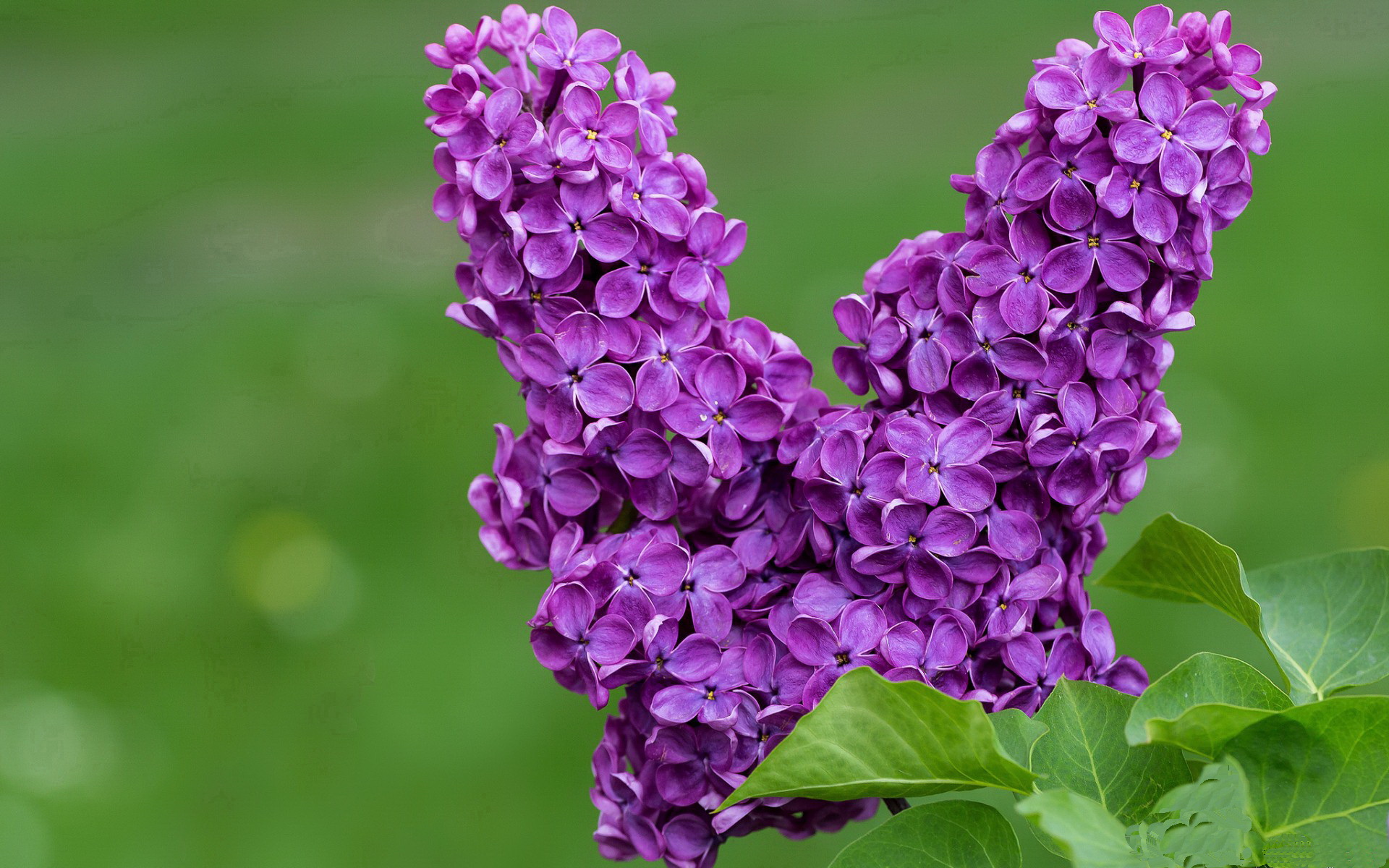 开云体育网址-国足球队精神面貌表现观察，足球精神品质