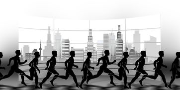 开云体育入口-校园田径赛事组织流程标准化建设，校园田径赛事组织流程标准化建设方案