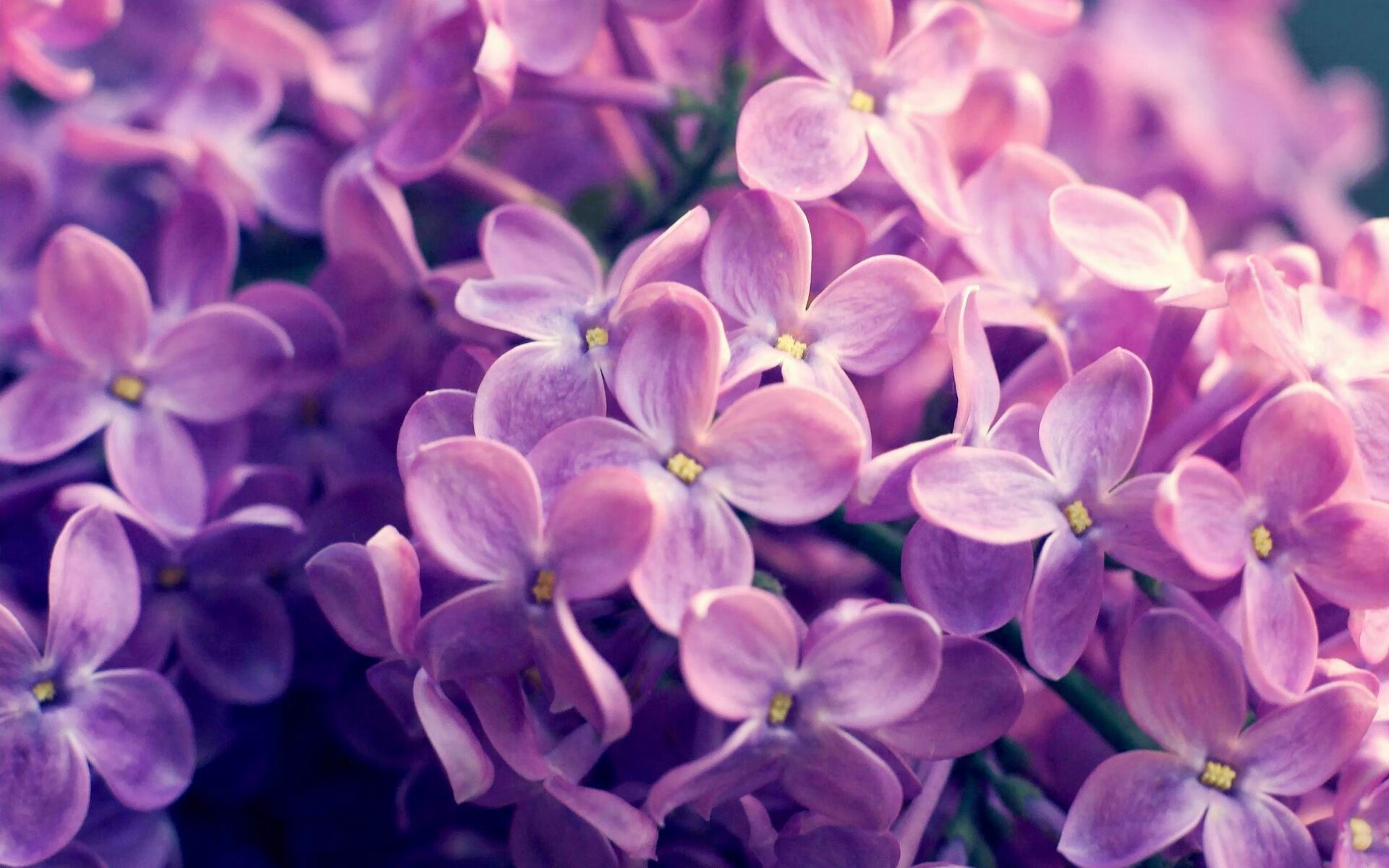 切尔西连续多场不败，状态稳定，切尔西ds