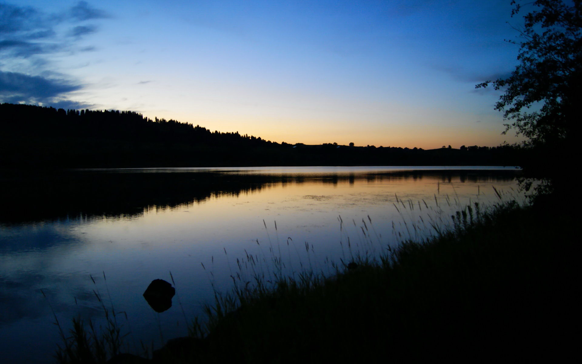 开云体育APP-法甲新星崛起：竞技场上的未来之光，法甲前瞻