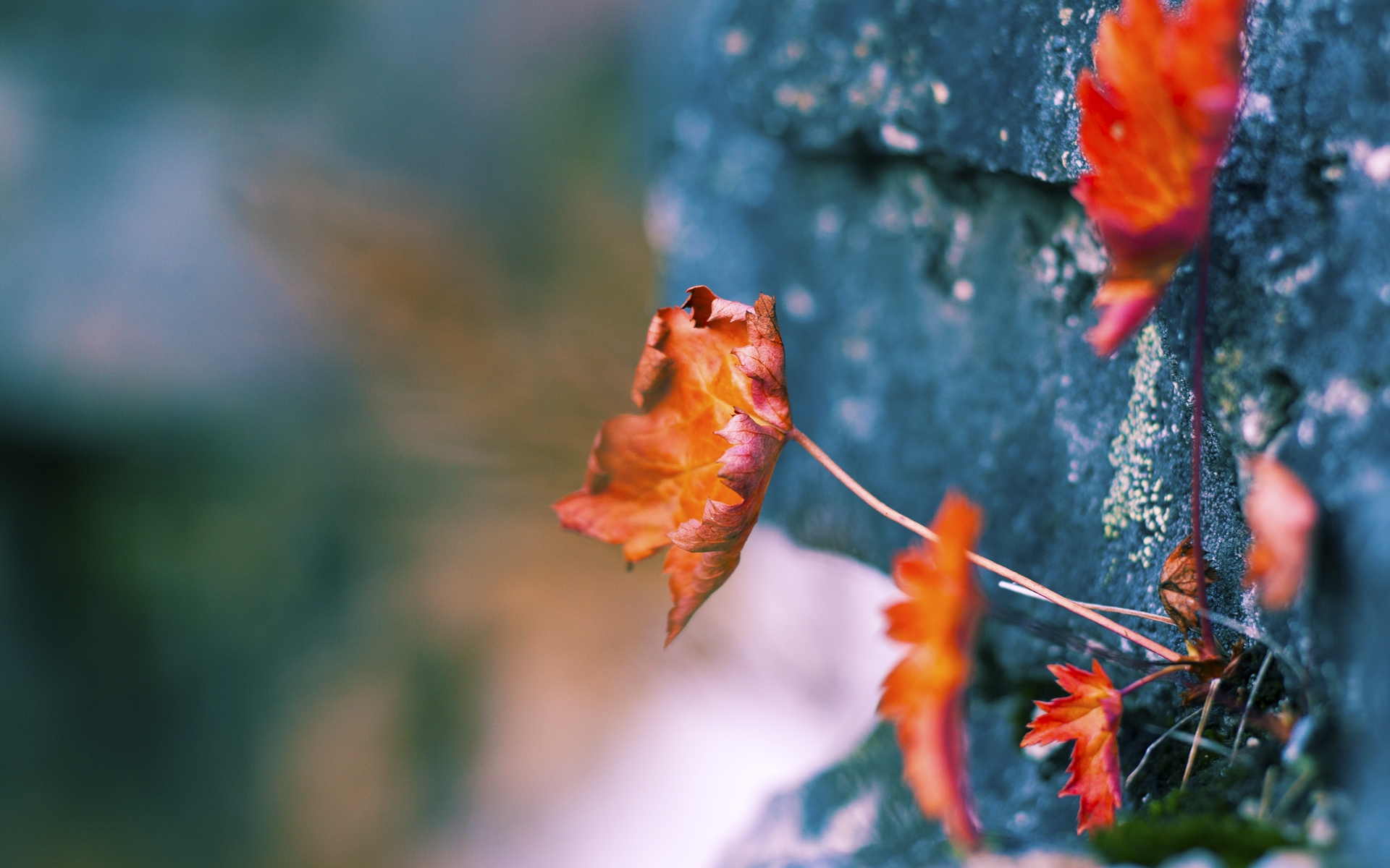 开云官方-法甲霸气进攻：打穿对方防线的精彩瞬间！，法甲动作大