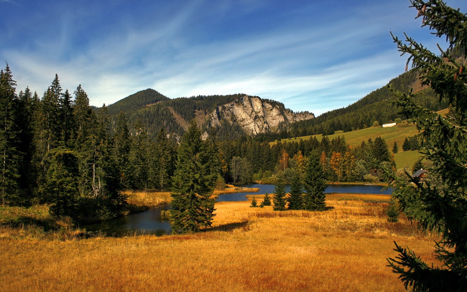 开云体育客户端-职业联赛引入赛事演示官制度提升球迷理解度，什么叫职业联赛